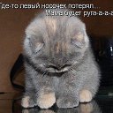  ,  -  8  2012   =)