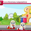 ���� ������, ���������, 48 ��� - ��������� 28 ������� 2010 � ������ �PetLove�