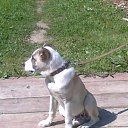 ���� �������, ���������, 47 ��� - ��������� 18 ������� 2011 � ������ ���� ����������