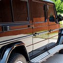  D=====r=i=s, , 39  -  16  2012