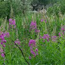 ���� ��������, ������, 72 ���� - ��������� 6 ������� 2011 � ������ ��������