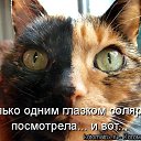 ���� ���������, �����-���������, 83 ���� - ��������� 1 ���� 2011 � ������ ������������� � �����������