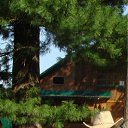 ���� ������, ���������, 49 ��� - ��������� 13 ������� 2012