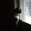 ���� � ������ �� ������� ���� ����������