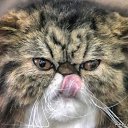 ���� �������, �������� - ��������� 19 ������ 2012 � ������ ���� ����������