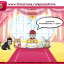 ���� �������, �������, 37 ��� - ��������� 27 ������ 2011 � ������ �PetLove�