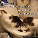 ���� ����, ��� - ��������� 18 ������ 2010 � ������ �������