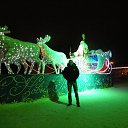 ���� ����, �����-���������, 42 ���� - ��������� 8 ����� 2013 � ������ ���� ����������