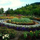 ���� ������, �����������, 33 ���� - ��������� 22 ���� 2013 � ������ ���� �����