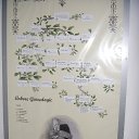 ���� ���, ���������, 52 ���� - ��������� 13 ������ 2013 � ������ ���� ����������