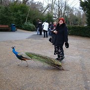 ������, 58 ���, ������