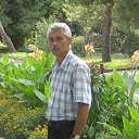 ���� �������, �������, 69 ��� - ��������� 16 ������ 2013 � ������ ���� ����������