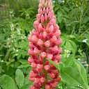 ���� ����@, ��������, 62 ���� - ��������� 30 ��� 2010 � ������ ��������� �������