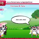   "", , 37  -  22  2010   PetLove