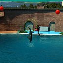  , , 47  -  7  2010   - 2010