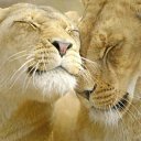 ���� ������, �������, 29 ��� - ��������� 24 ������� 2010 � ������ ���� ����