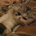 ���� �������, ������, 59 ��� - ��������� 14 ������� 2009 � ������ ���� ������� ��� ����