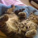 ���� ����, �����-���������, 41 ��� - ��������� 20 ����� 2011 � ������ ���� � �����