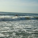 �� ������ �� ������� ��������, ������� 2012�