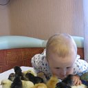 ���� �����, ������ - ��������� 7 ���� 2010 � ������ ��������