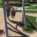  Vitalijs, , 42  -  25  2013