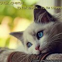 ���� ******Elena, ������, 45 ��� - ��������� 23 ������ 2012 � ������ �������