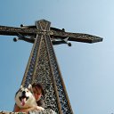 ���� �����, �������-����������, 51 ��� - ��������� 9 ������� 2011 � ������ ���� ����������