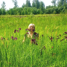 ���� �������, ���������, 51 ��� - ��������� 27 ������� 2012