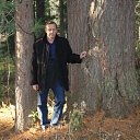 ���� ������, ������, 66 ��� - ��������� 7 ������� 2012 � ������ ������