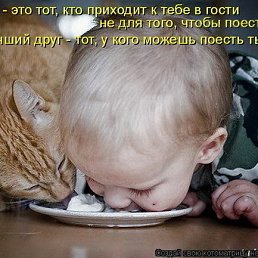 ���� ����������, ������, 51 ��� - ��������� 5 ������� 2010