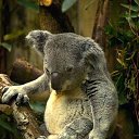 ���� ���, ������, 51 ��� - ��������� 6 ��� 2010 � ������ ���� ����������