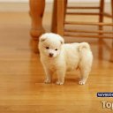 ���� ����, ������, 24 ���� - ��������� 29 ����� 2012