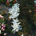 ���� �������, ��������� - ��������� 6 ������� 2012 � ������ �����ܻ