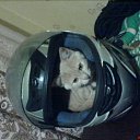 ���� �����, �������, 59 ��� - ��������� 19 ������ 2011 � ������ ���� ����������