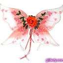 ���� ��������, ����� - ��������� 22 ������� 2009 � ������ ���� �������� ��������