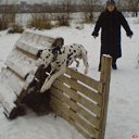 ���� ������, �������, 29 ��� - ��������� 27 ��� 2010 � ������ �����