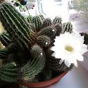 ���� Vytalii, ������ ��������, 59 ��� - ��������� 5 �������� 2010 � ������ �������!�