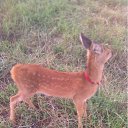 ���� ���������, ������, 56 ��� - ��������� 21 ������� 2012 � ������ ������