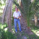 ���� ������, ������, 72 ���� - ��������� 31 ������� 2011 � ������ ���� ����������