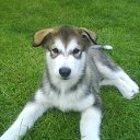 ������� 8 ������...... �� ������� �������