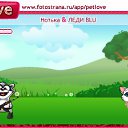 ���� ����, �����-���������, 38 ��� - ��������� 10 �������� 2010 � ������ �PetLove�