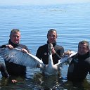 ���� �������, ��������, 62 ���� - ��������� 27 ����� 2013 � ������ �����������