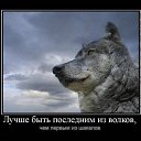 ���� ����, ������-��-����, 54 ���� - ��������� 20 ���� 2013 � ������ ���� ����������