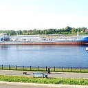 ���� ����, �������, 43 ���� - ��������� 15 ��� 2013 � ������ ���� ����������