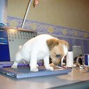 ���� ���, ������ - ��������� 17 ������� 2011 � ������ �������