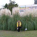 ���� �������, ������-��-����, 53 ���� - ��������� 10 ������ 2012 � ������ ���� ����������