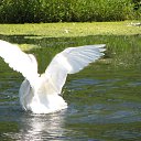 ���� �����, ��������, 45 ��� - ��������� 3 ������� 2010 � ������ ����� �������