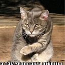 ���� �����, �������, 56 ��� - ��������� 3 ���� 2011 � ������ �����