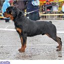 ���� ������, ���������, 24 ���� - ��������� 10 ������� 2012 � ������ ���� ����������