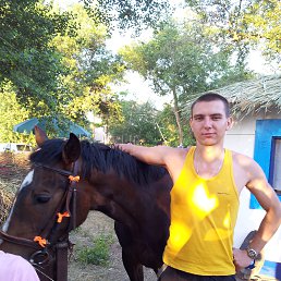 ���� ���, ������, 36 ��� - ��������� 25 ���� 2013